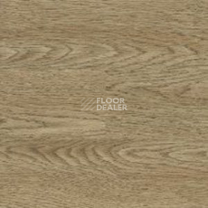 Линолеум Polyflor Kudos 1965 фото 1 | FLOORDEALER