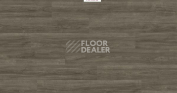 Ламинат Haro Tritty 200 Aqua 4V ДУБ ЭЛЕГАНЗА АНТИЧНЫЙ СЕРЫЙ 541555 фото 1 | FLOORDEALER