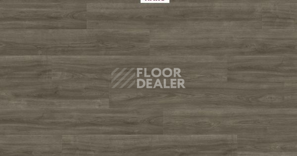 Ламинат Haro Tritty 200 Aqua 4V ДУБ ЭЛЕГАНЗА АНТИЧНЫЙ СЕРЫЙ 541555 фото 1 | FLOORDEALER