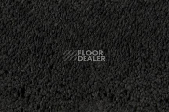 Ковролин Edel Pamina Edel Pamina 189 фото 1 | FLOORDEALER