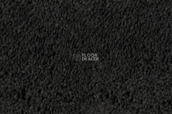 Ковролин Edel Pamina Edel Pamina 189 фото 1 | FLOORDEALER