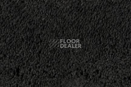 Ковролин Edel Pamina Edel Pamina 189 фото 1 | FLOORDEALER
