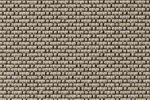 Ковролин Carpet Concept Eco Iqu 40611 фото  | FLOORDEALER