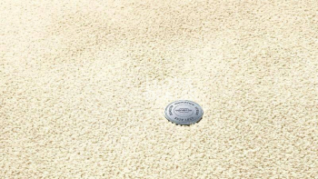 Ковролин Vorwerk Superior 1064/Lyrica Vorwerk 6c68 фото 1 | FLOORDEALER