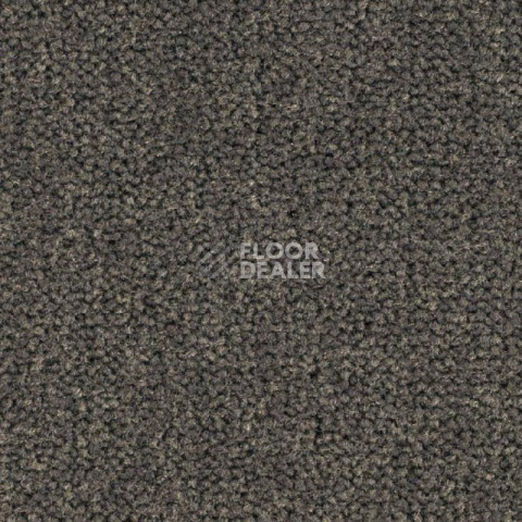Ковролин Balsan Les Best S 790 фото 1 | FLOORDEALER