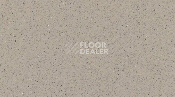 Линолеум Gerflor Tarasafe Super 7386_Savana фото 1 | FLOORDEALER