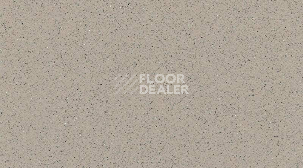 Линолеум Gerflor Tarasafe Super 7386_Savana фото 1 | FLOORDEALER