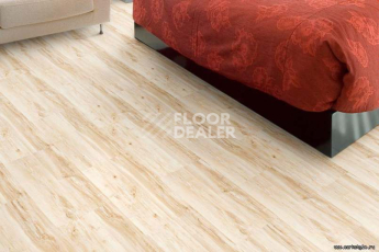 Wood MAPLE фото 2 | FLOORDEALER