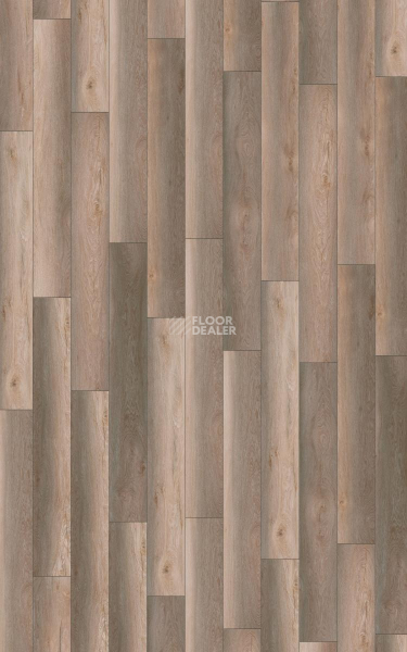 Ламинат Kronotex Robusto 12мм d80992 Дуб Гнарренбург Титан фото 4 | FLOORDEALER
