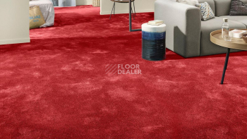 Vorwerk Superior 1064/Lyrica Vorwerk 1n45 фото 2 | FLOORDEALER