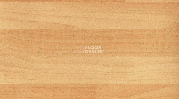 Линолеум Gerflor Recreation 45 Wood 6062_Canadian_Maple фото 1 | FLOORDEALER