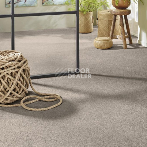 Vorwerk Superior 1065/Viola Vorwerk 5x89 фото 2 | FLOORDEALER