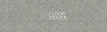 Линолеум Tarkett Delta SPRAY6 фото 1 | FLOORDEALER
