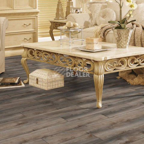 Kronotex Mammut d4792 Дуб Серый Макро фото 6 | FLOORDEALER