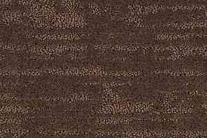 Ковролин Balsan Territoires Sierra 691 фото  | FLOORDEALER