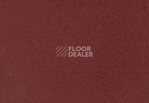 Ковролин Lano Zen 141 фото 1 | FLOORDEALER
