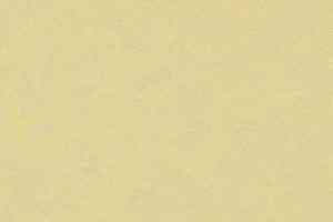 Линолеум Forbo Marmoleum Неожиданная природа 3566 фото  | FLOORDEALER