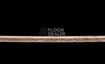 Tarkett Primo Plus 307 фото 3 | FLOORDEALER