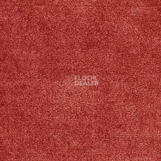 Ковролин AW The Velvet Omphale 10 фото 1 | FLOORDEALER