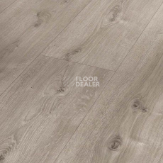 Ламинат Parador Basic Plus 600 XS 1744355 Дуб Valere Gekälkt Жемчужно-серый фото 1 | FLOORDEALER