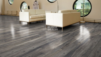 Kronotex Robusto 12мм d3572 Дуб Портовый Серый фото 9 | FLOORDEALER