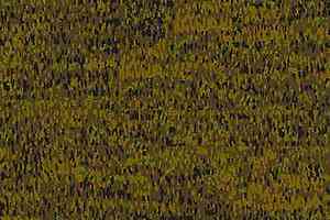 Ковровая плитка Ege Highline Contrast Vegetation Gold rfm 52856287 фото  | FLOORDEALER