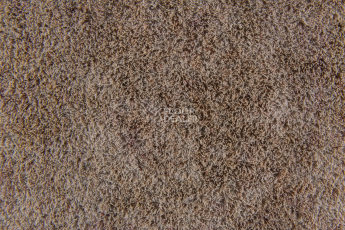 Forbo Flotex Colour Calgary 50*50 t 590026 Calgary Linen фото 3 | FLOORDEALER