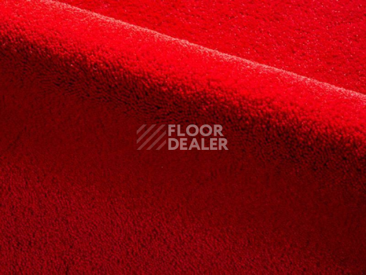 Ковролин Radici Dolce Vita 9819 фото 1 | FLOORDEALER