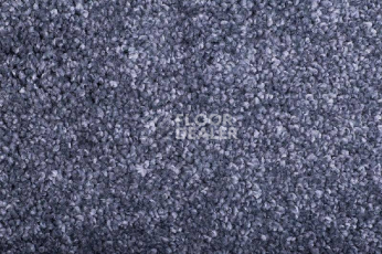 Ковролин Tarkett Diva 44681 фото 1 | FLOORDEALER