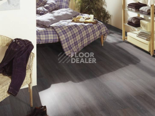 Kronotex Exquisit 8мм d2804 Дуб Стирлинг фото 2 | FLOORDEALER