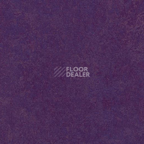 Кварцвиниловые полы Forbo Marmoleum Modular Colour 3244 фото 1 | FLOORDEALER