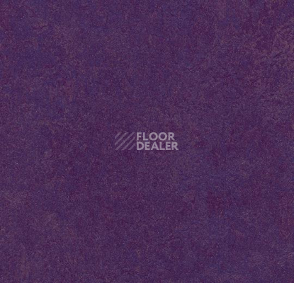 Кварцвиниловые полы Forbo Marmoleum Modular Colour 3244 фото 1 | FLOORDEALER
