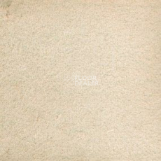 Ковролин Vorwerk Hermelin 6a25 фото 1 | FLOORDEALER