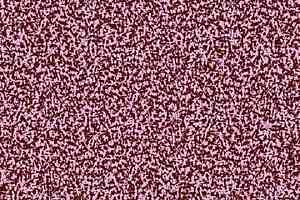Ковролин Forbo Flotex Vision Pattern 001382 Arrow Gravel фото  | FLOORDEALER