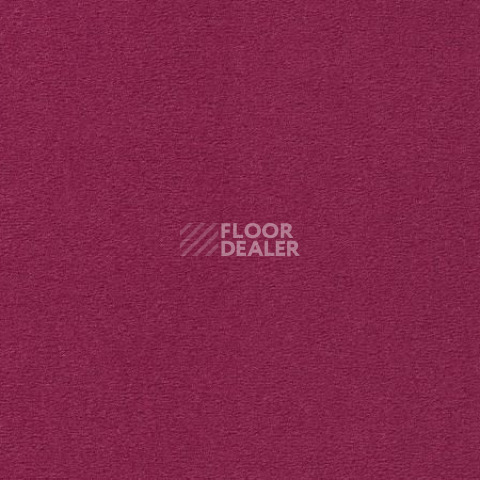 Ковролин Vorwerk Passion 1000/Modena Vorwerk 1m01 фото 1 | FLOORDEALER