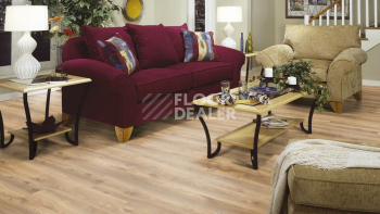 Kronotex Mammut Plus d4794 Дуб Натуральный Макро фото 3 | FLOORDEALER