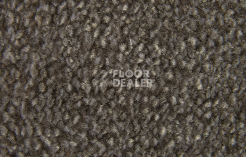 AW Masquerade Moretta 49 фото 3 | FLOORDEALER