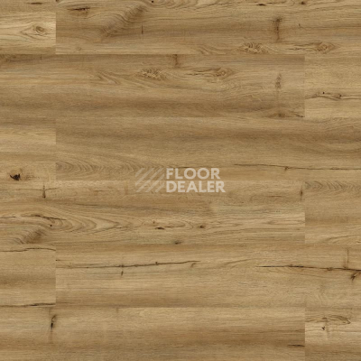 Пробковое покрытие Wood Go LJY6001 Oak Rustic фото 1 | FLOORDEALER