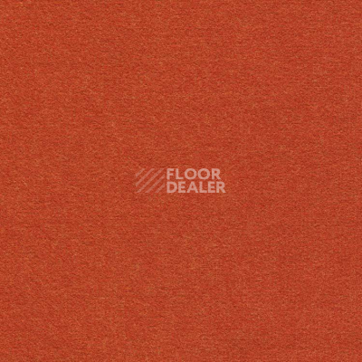 Ковролин Finett Feinwerk 503501 фото 1 | FLOORDEALER