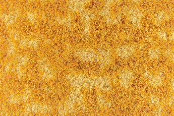 Forbo Flotex Colour Metro 5050 t 546036 Metro Gold фото 2 | FLOORDEALER