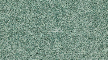 Ковролин Vorwerk Passion 1001 Vorwerk 4f48 фото 1 | FLOORDEALER