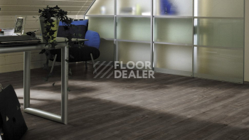 Kronotex Exquisit Plus d4785 Дуб Гала Титан фото 4 | FLOORDEALER