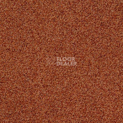 Ковровая плитка Desso Torso 5213 фото 1 | FLOORDEALER