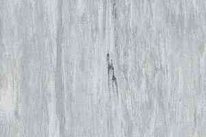 Линолеум Gerflor Mipolam Robust El7 0002 фото  | FLOORDEALER