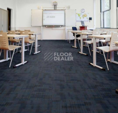 Forbo Tessera Alignment 203 Cyclone фото 2 | FLOORDEALER