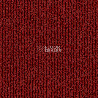 Ковролин Edel Gloss 155 фото 1 | FLOORDEALER