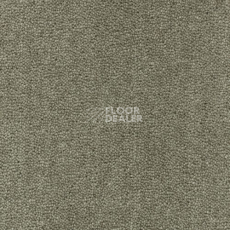 Ковролин Creatuft Sheba 1025 Olive 5m фото 1 | FLOORDEALER