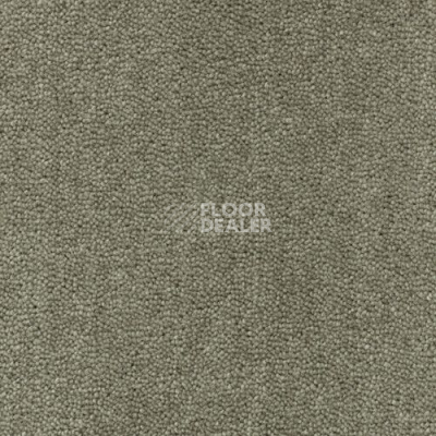 Ковролин Creatuft Sheba 1025 Olive 5m фото 1 | FLOORDEALER