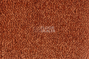 Ковролин Edel Vanity 145 фото 1 | FLOORDEALER