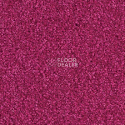 Ковровая плитка Balsan Bolero 555 фото 1 | FLOORDEALER